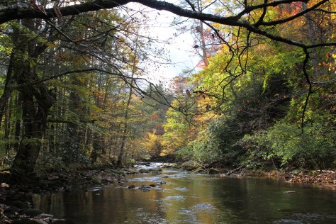 Beaverdam Creek, October 20, 2012