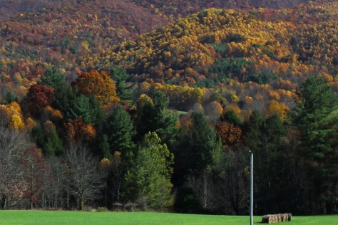 Shady Valley Mountain Close Up