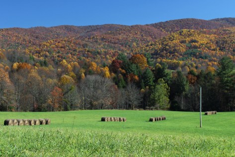 Shady Valley Mountain