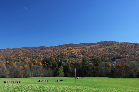 Shady Valley Vibrant Colors October 2012
