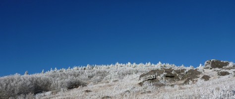 Blue and White Contrast Nicely