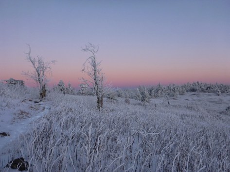 Evening Alpenglow on the Appalachian Trail