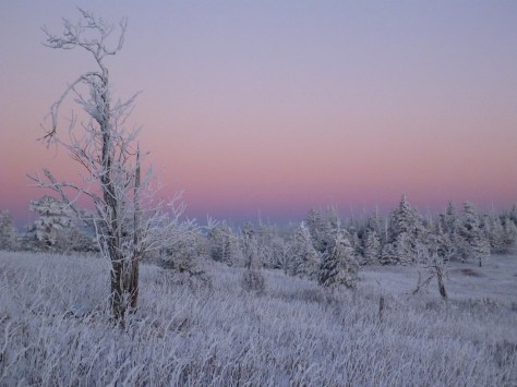 Otherworldly Alpenglow