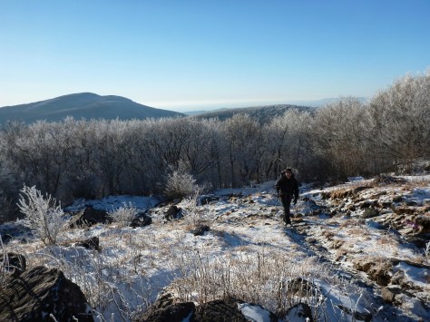 Reaching the First High Country Bald