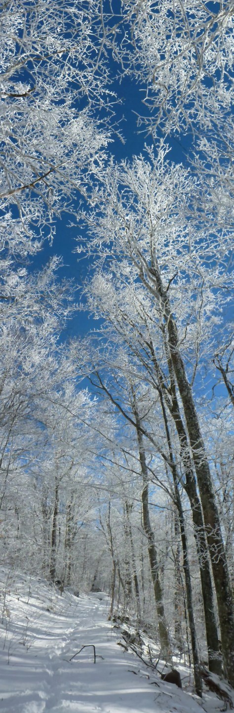 Va Highlands Horse Trail 12.22.2012