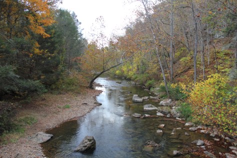 Jackson River downstream of the bridge