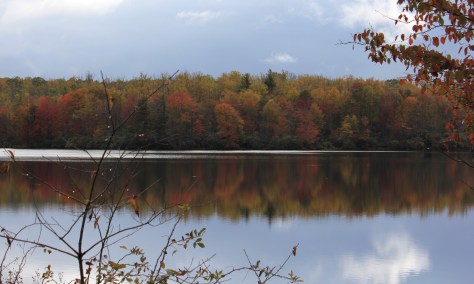 Fall Colors Reflect on the Lake