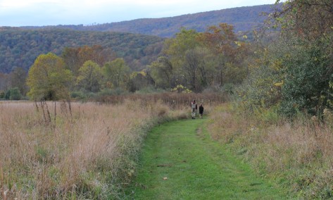 Not a Bad Day Fishing