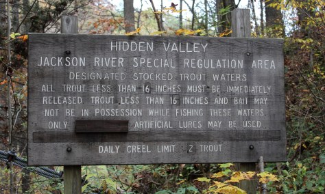 Special Regulation Section