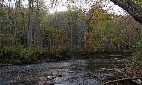 Sun Over Jackson River