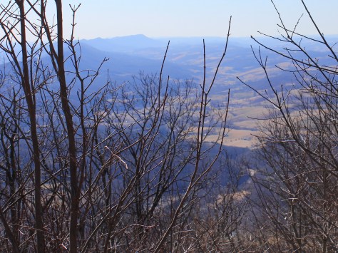 Big Moccasin Creek drainage