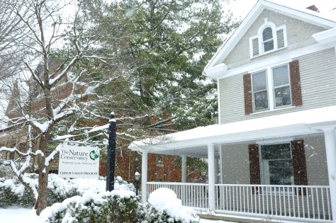 The Nature Conservancy