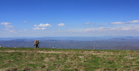 Backpacker on the crest of the AT on Jane Bald, 5820' above sea level. This view is looking north, back towards Bristol VA/TN and Southwest Virginia.