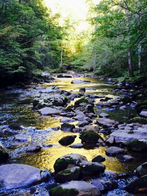 Whitetop Laurel Creek, Late Evening, Monday, September 14, 2015